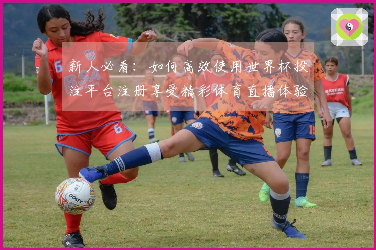新人必看：如何高效使用世界杯投注平台注册享受精彩体育直播体验