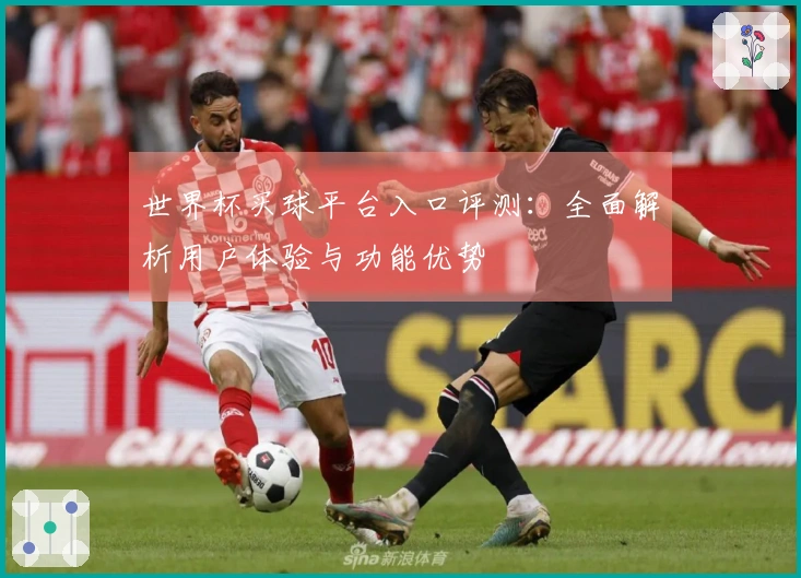 世界杯买球平台入口评测：全面解析用户体验与功能优势