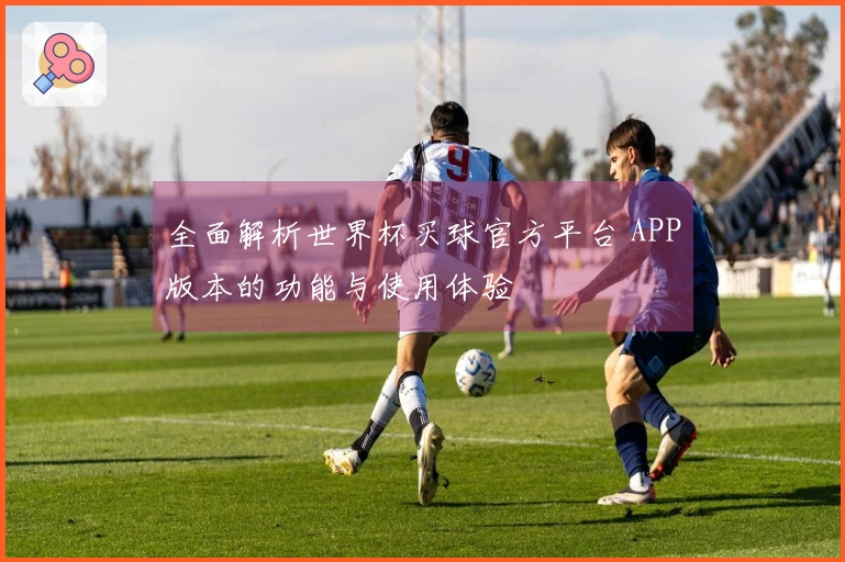 全面解析世界杯买球官方平台 APP版本的功能与使用体验