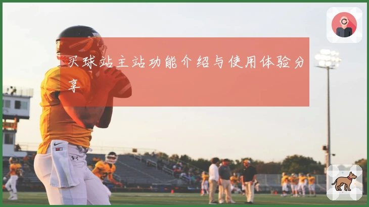 买球站主站功能介绍与使用体验分享