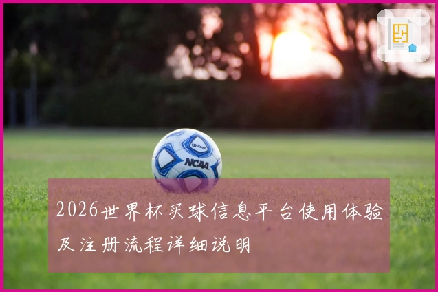 2026世界杯买球信息平台使用体验及注册流程详细说明