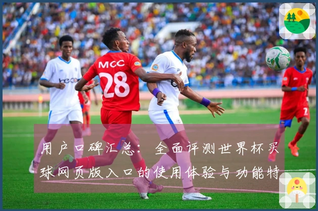用户口碑汇总：全面评测世界杯买球网页版入口的使用体验与功能特点
