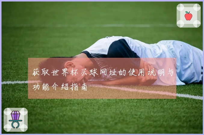 获取世界杯买球网址的使用说明与功能介绍指南