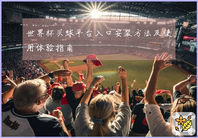 世界杯买球平台入口安装方法及使用体验指南