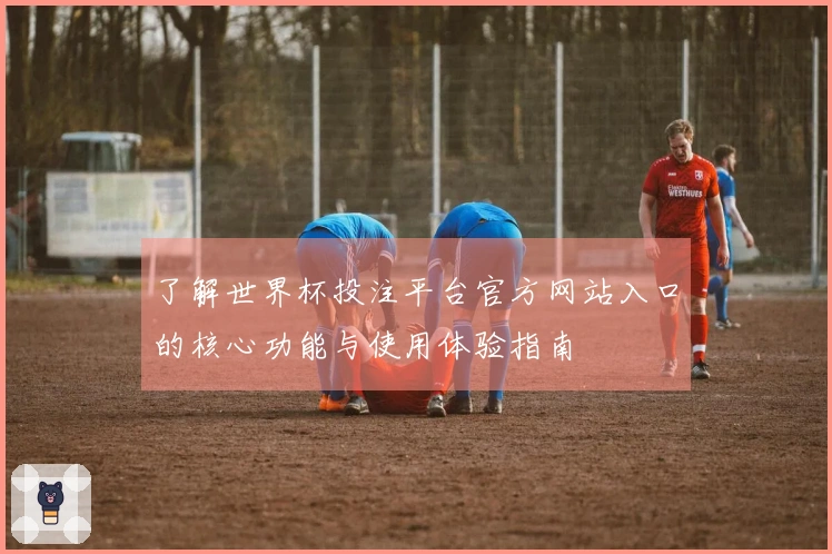 了解世界杯投注平台官方网站入口的核心功能与使用体验指南