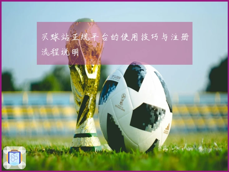 买球站正规平台的使用技巧与注册流程说明