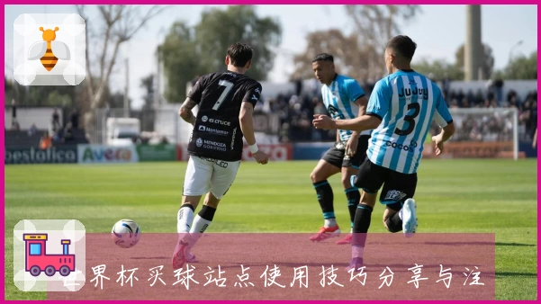 世界杯买球站点使用技巧分享与注册流程说明