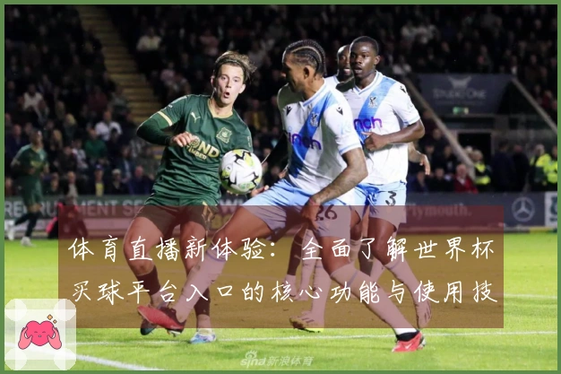 体育直播新体验：全面了解世界杯买球平台入口的核心功能与使用技巧
