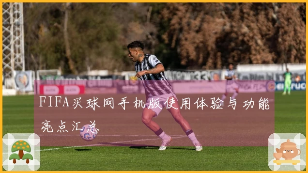 FIFA买球网手机版使用体验与功能亮点汇总