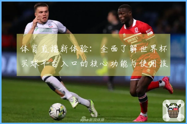 体育直播新体验：全面了解世界杯买球平台入口的核心功能与使用技巧