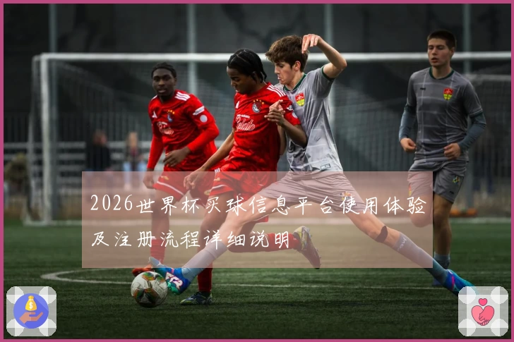 2026世界杯买球信息平台使用体验及注册流程详细说明