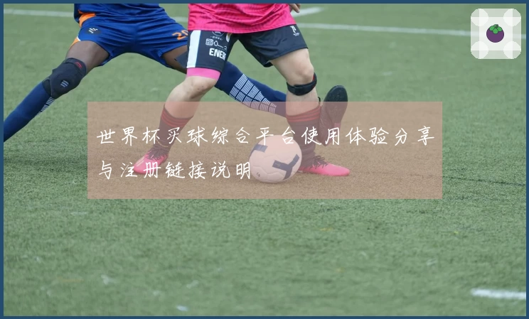 世界杯买球综合平台使用体验分享与注册链接说明