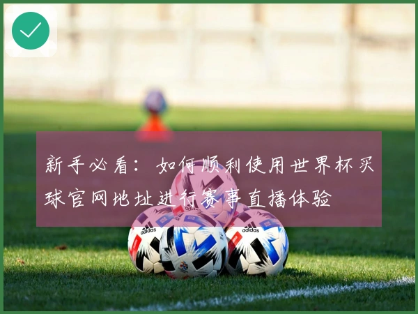 新手必看：如何顺利使用世界杯买球官网地址进行赛事直播体验