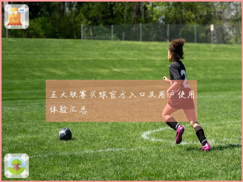 五大联赛买球官方入口及用户使用体验汇总