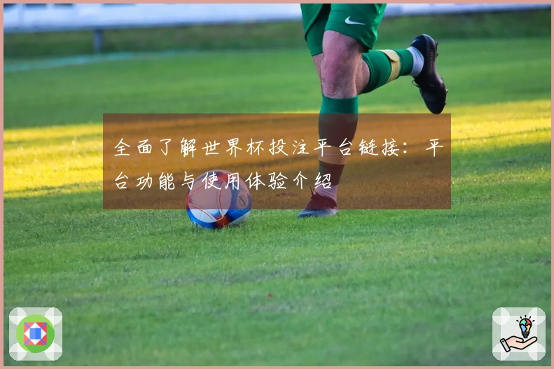 全面了解世界杯投注平台链接：平台功能与使用体验介绍