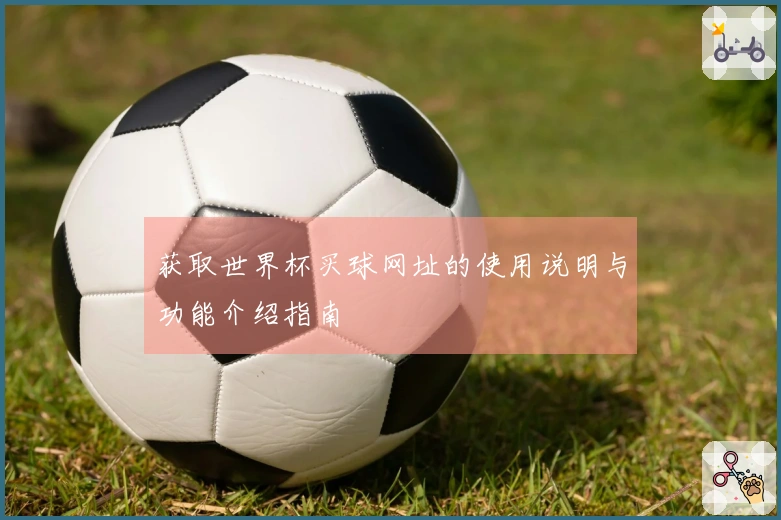 获取世界杯买球网址的使用说明与功能介绍指南