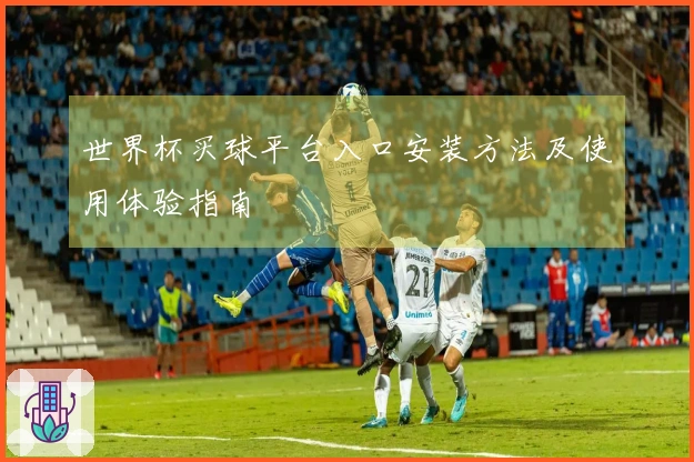 世界杯买球平台入口安装方法及使用体验指南