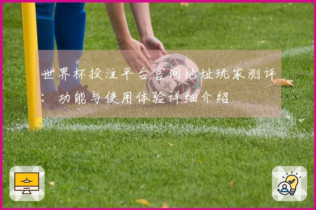 世界杯投注平台官网地址玩家测评：功能与使用体验详细介绍