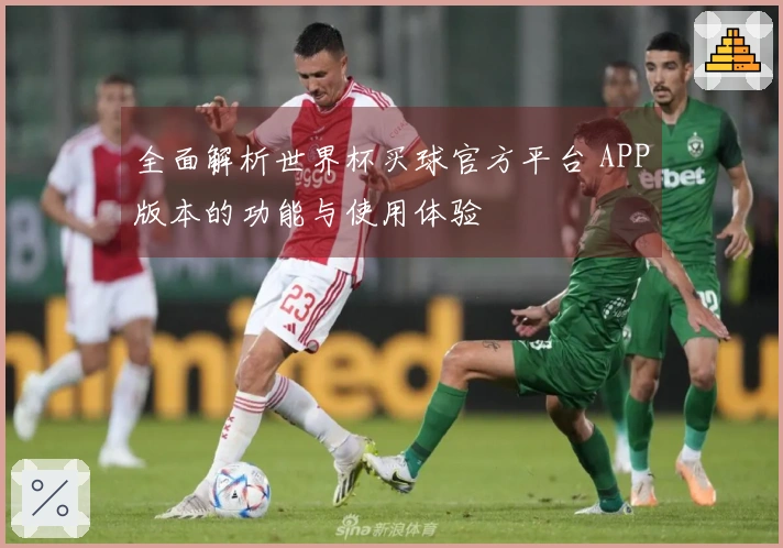 全面解析世界杯买球官方平台 APP版本的功能与使用体验
